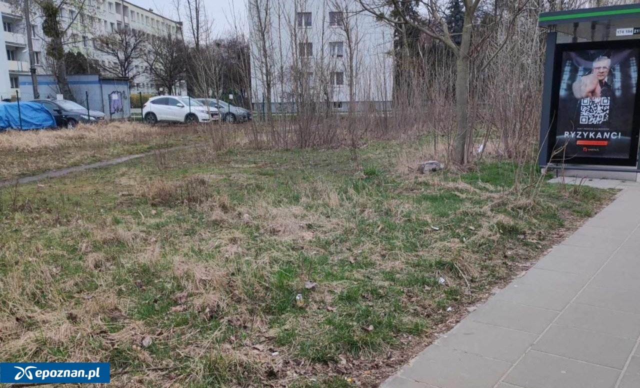 fot. Czytelnik