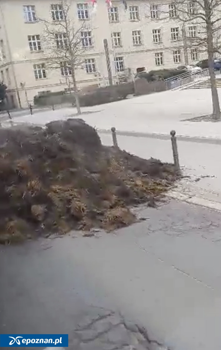 fot. Czytelniczka