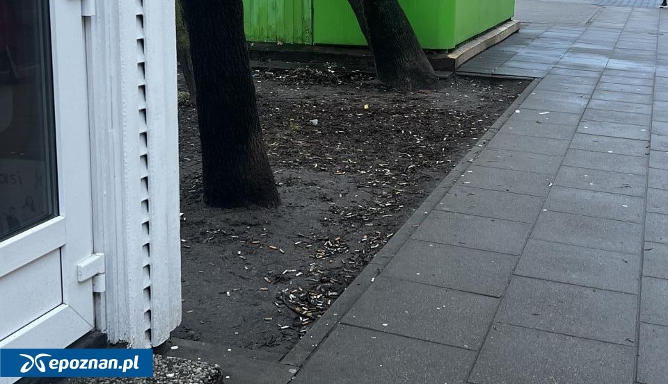 Okolice jednego z przystanków tonące w "petach" | fot. Czytelniczka