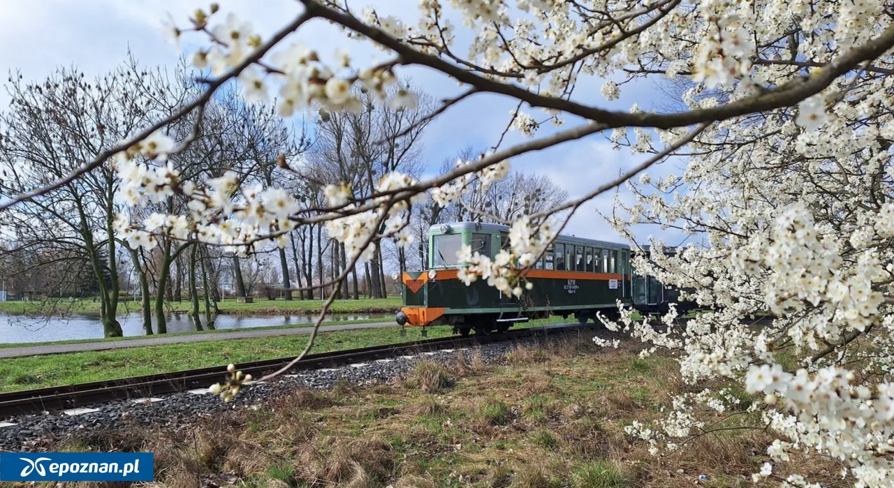 fot. MPK Poznań