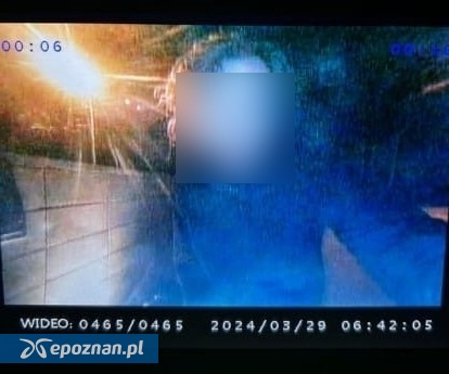 fot. policja