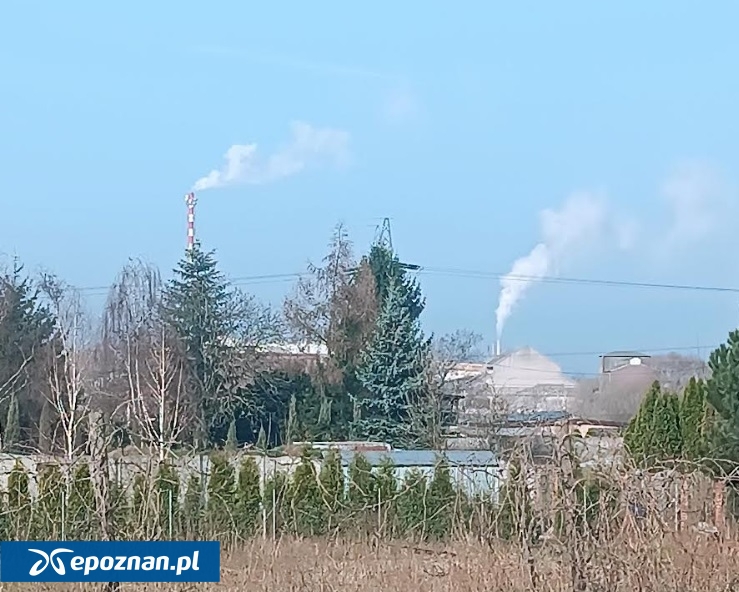 fot. Czytelniczka