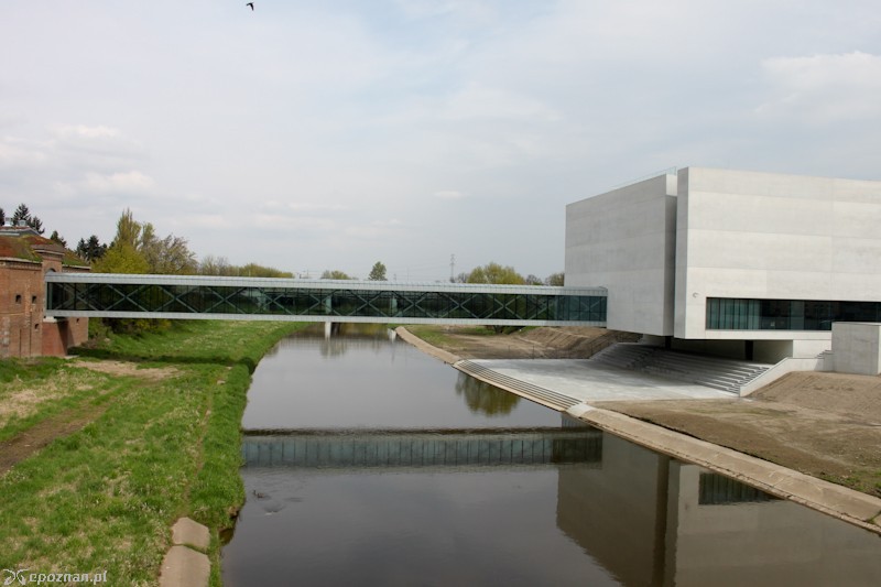 fot. Elżbieta Skowron
