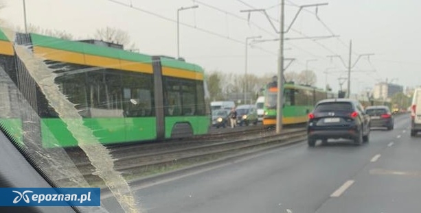 fot. pani pętelka