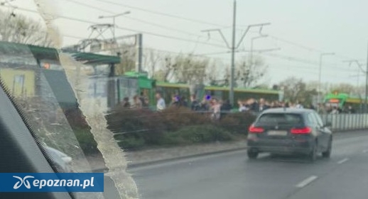 fot. pani pętelka