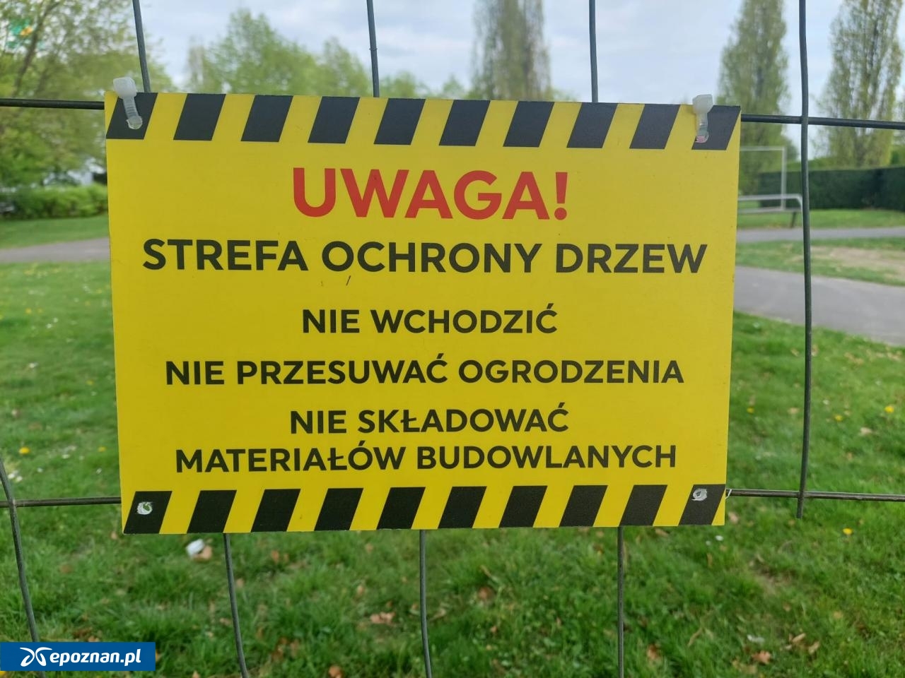 fot. Przemysław Łukaszyk