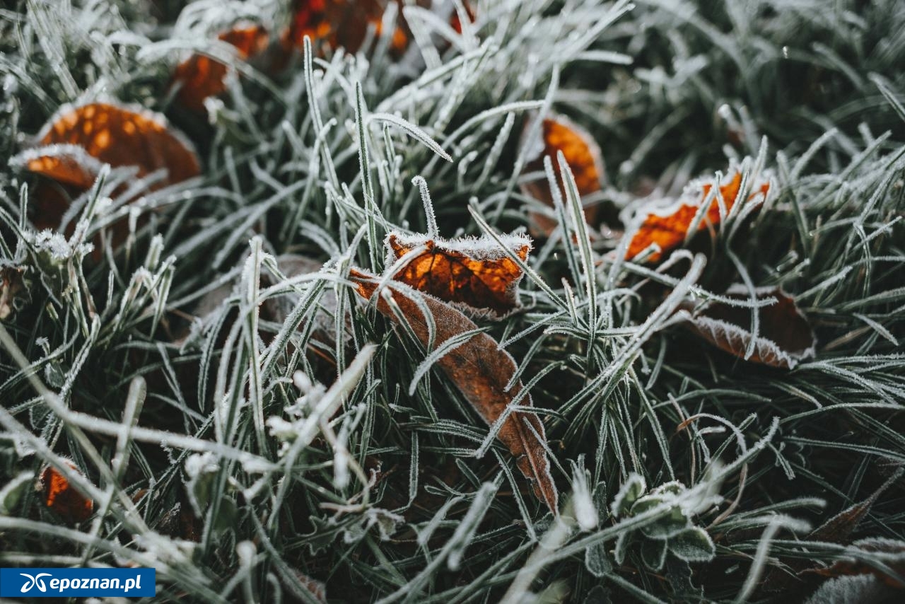 Zdjęcie ilustracyjne | fot. Herr Bohn / unsplash.com