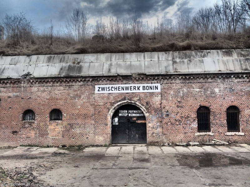 fot. wiki