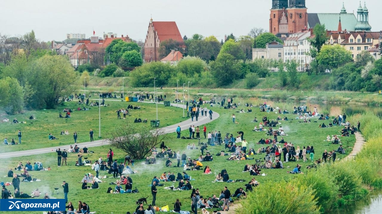 fot. UM Poznań
