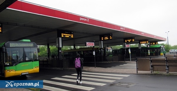 fot. ZTM Poznań