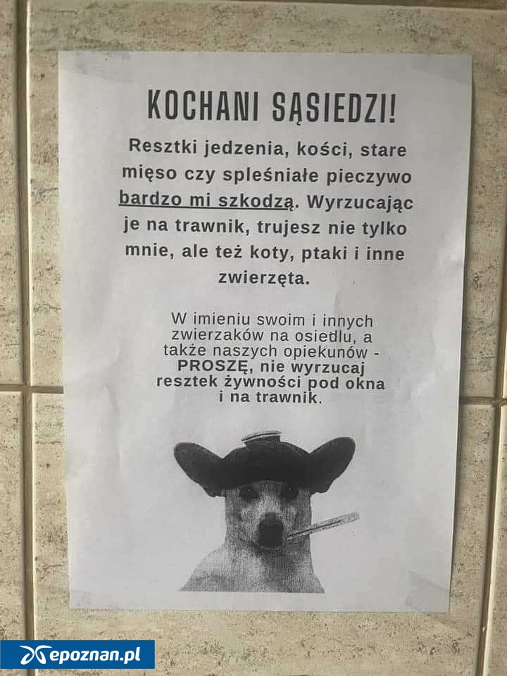 fot. Paweł S./Nieformalna Grupa Wildecka/Facebook.