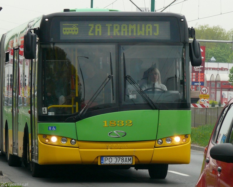 fot. Elżbieta Skowron