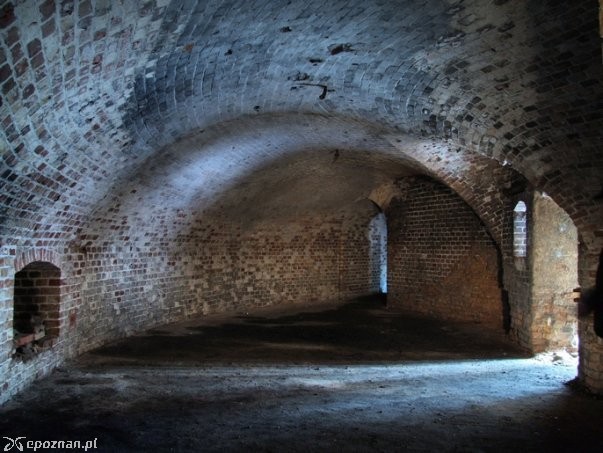 fot. Stowarzyszenie Kernwerk