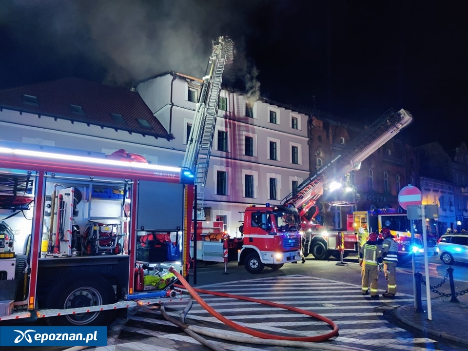 fot. Tydzień Ziemi Śremskiej / FB