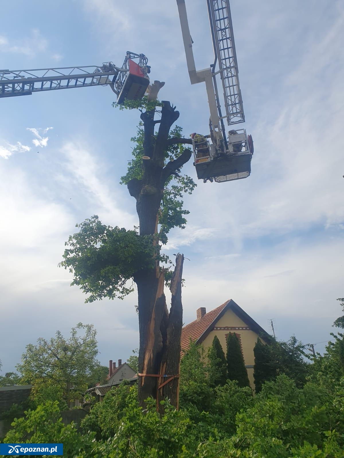 fot. asp. Krzysztof Minaków, st. str. Robert Martenka / KM PSP Poznań