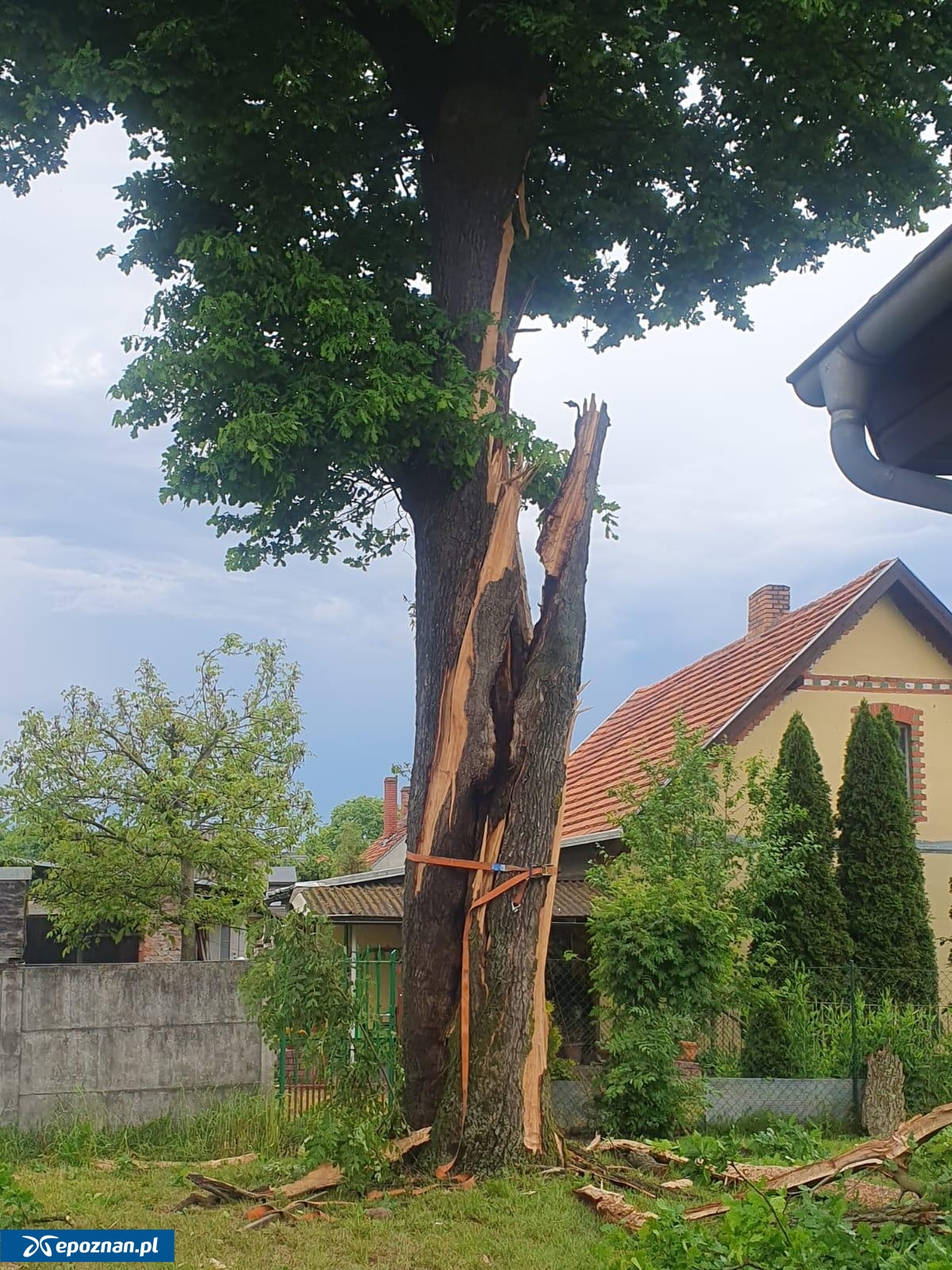 fot. asp. Krzysztof Minaków, st. str. Robert Martenka / KM PSP Poznań