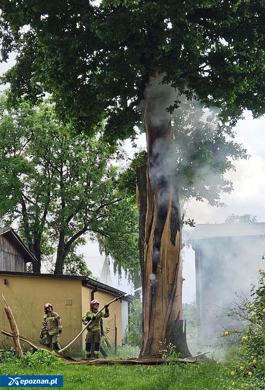 fot. asp. Krzysztof Minaków, st. str. Robert Martenka / KM PSP Poznań