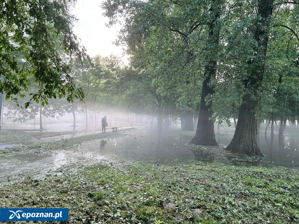 fot. KPP Gniezno