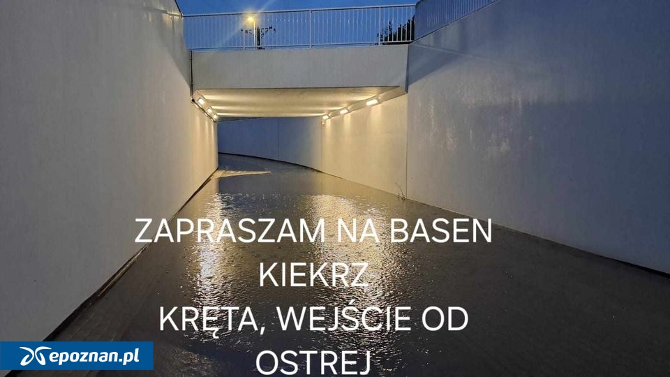 fot. Czytelniczka.