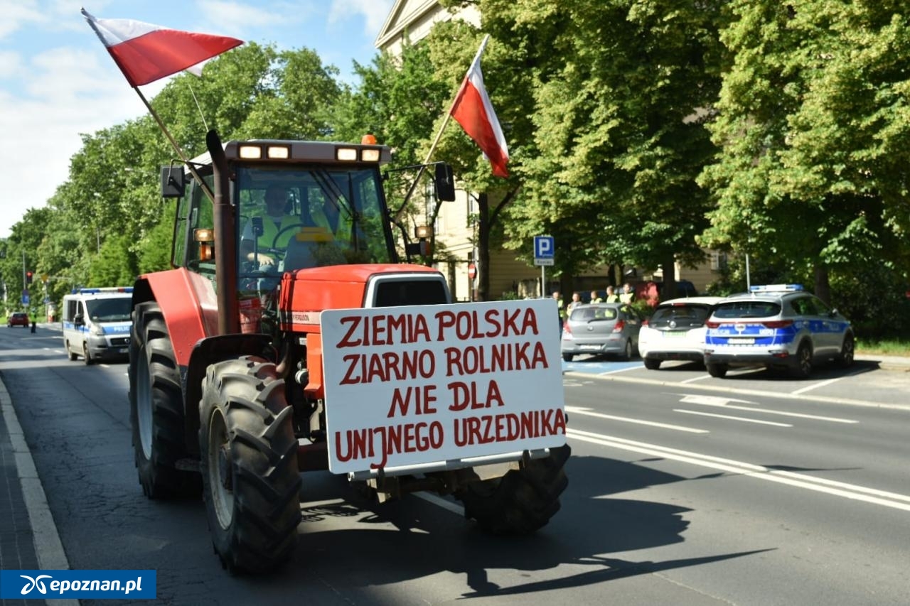 fot. Przemysław Łukaszyk