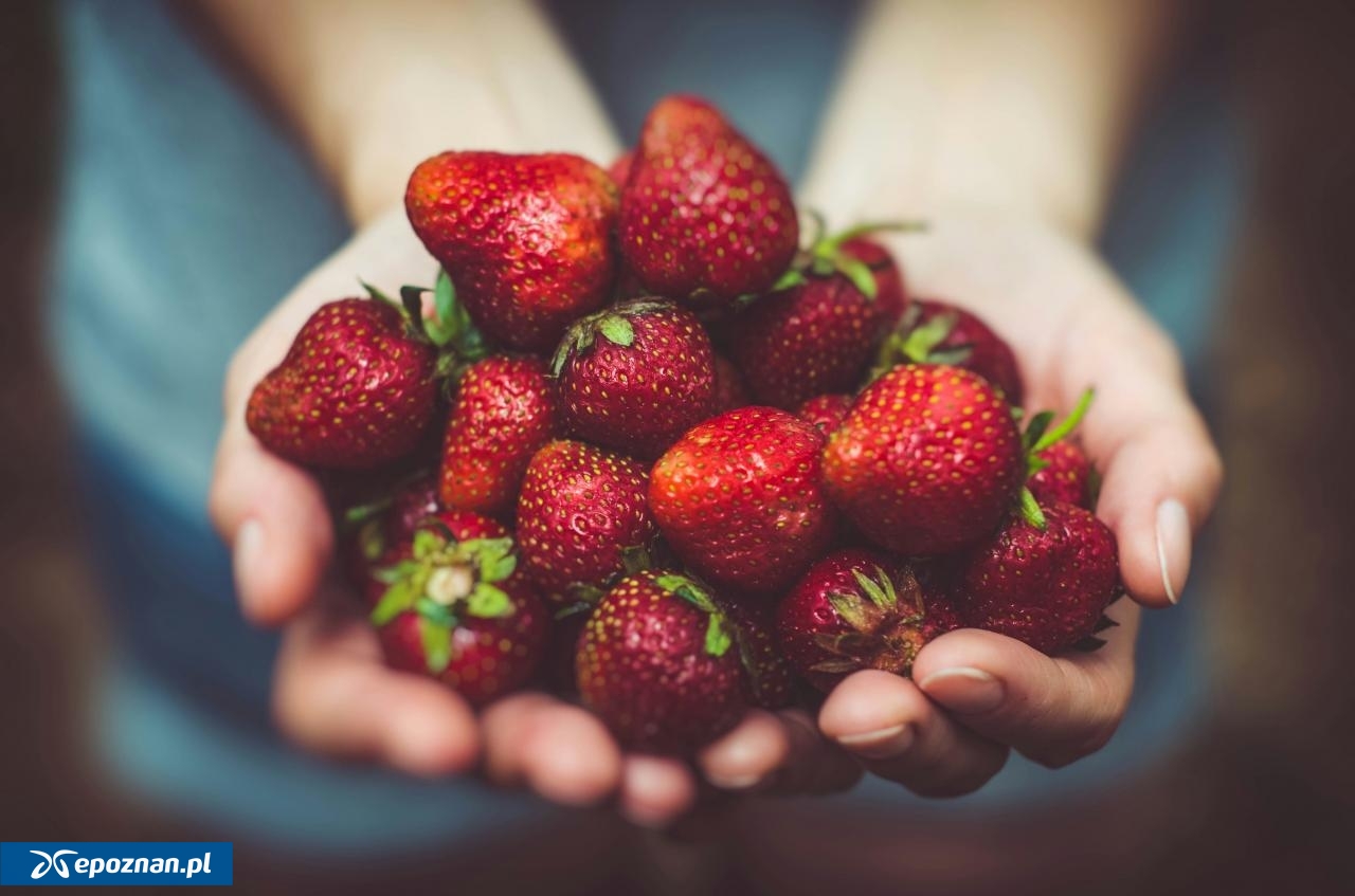 Zdjęcie ilustracyjne | fot. Artur Rutkowski / unsplash.com