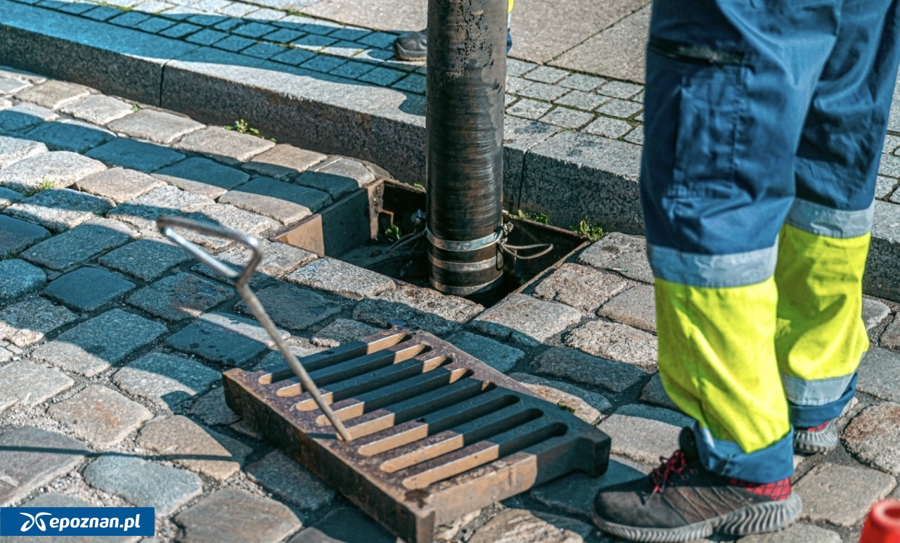 fot. UM Poznań
