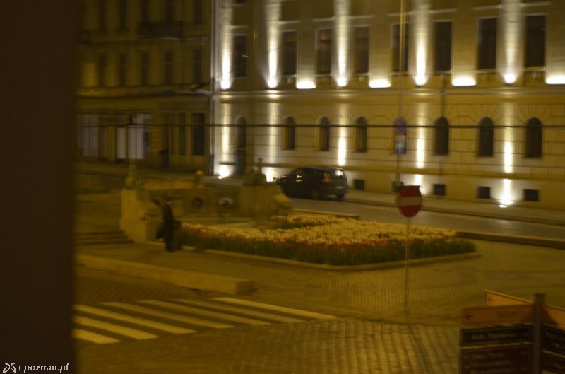 fot. czytelnik