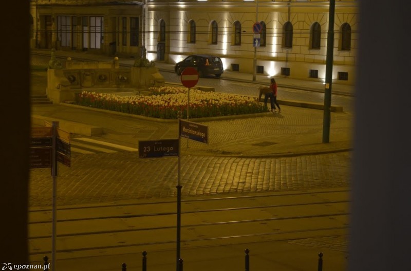 fot. czytelnik