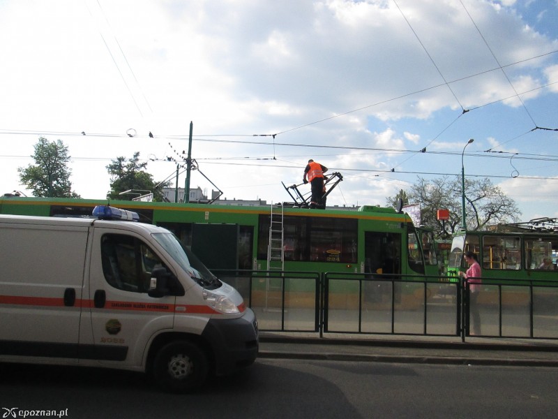 fot. Nishio Poznań