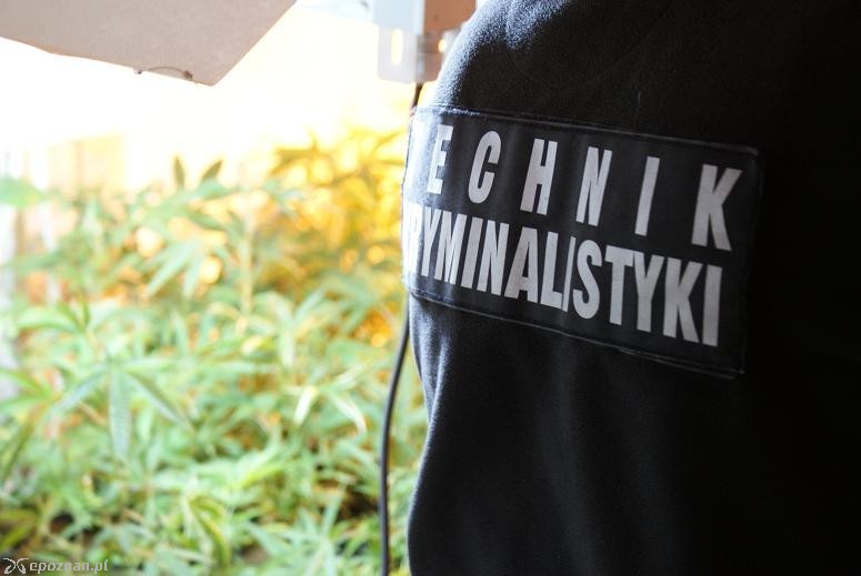 fot. policja