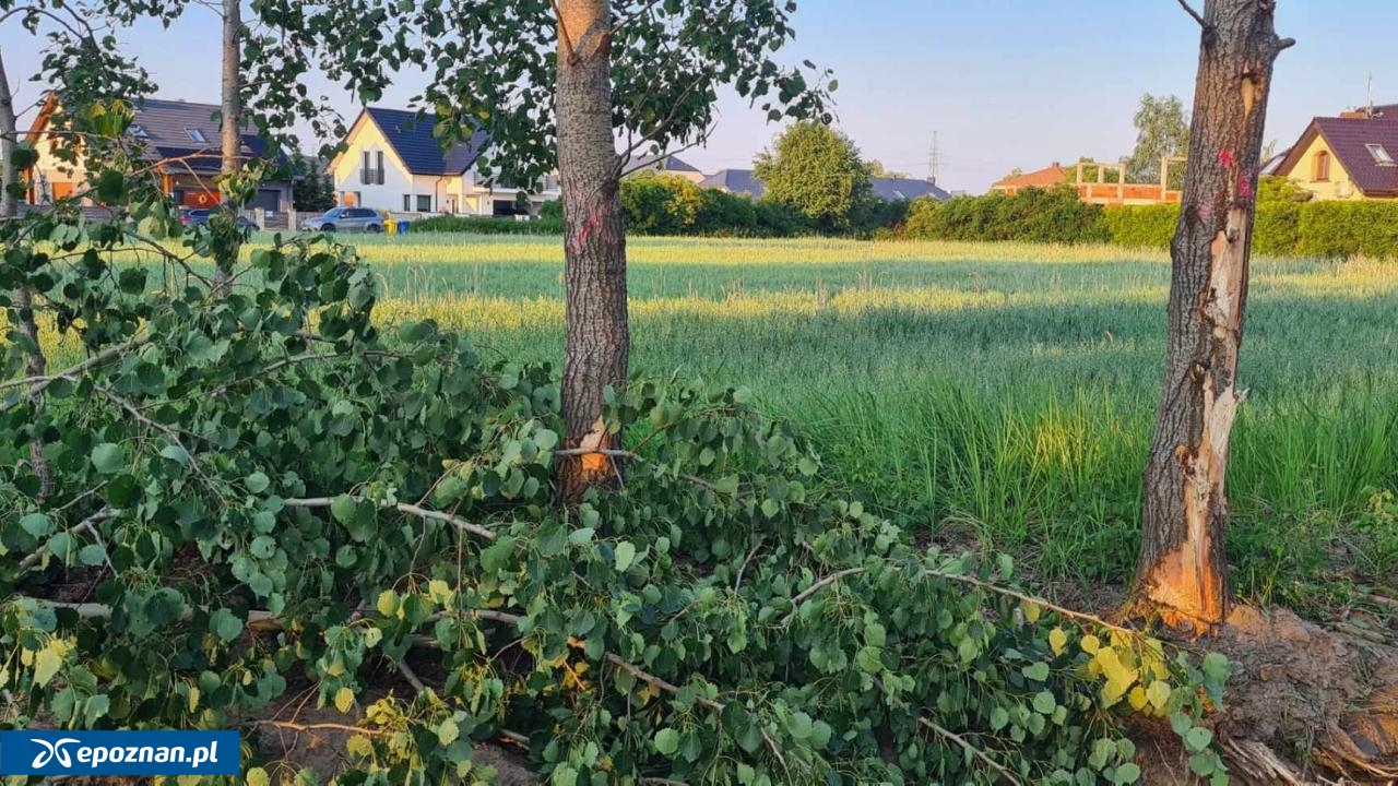 fot. Czytelnik