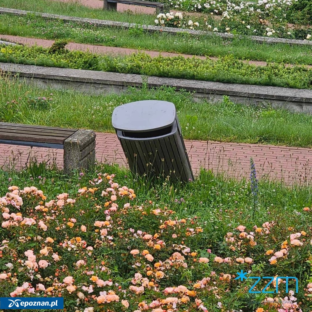 fot. ZZM Poznań