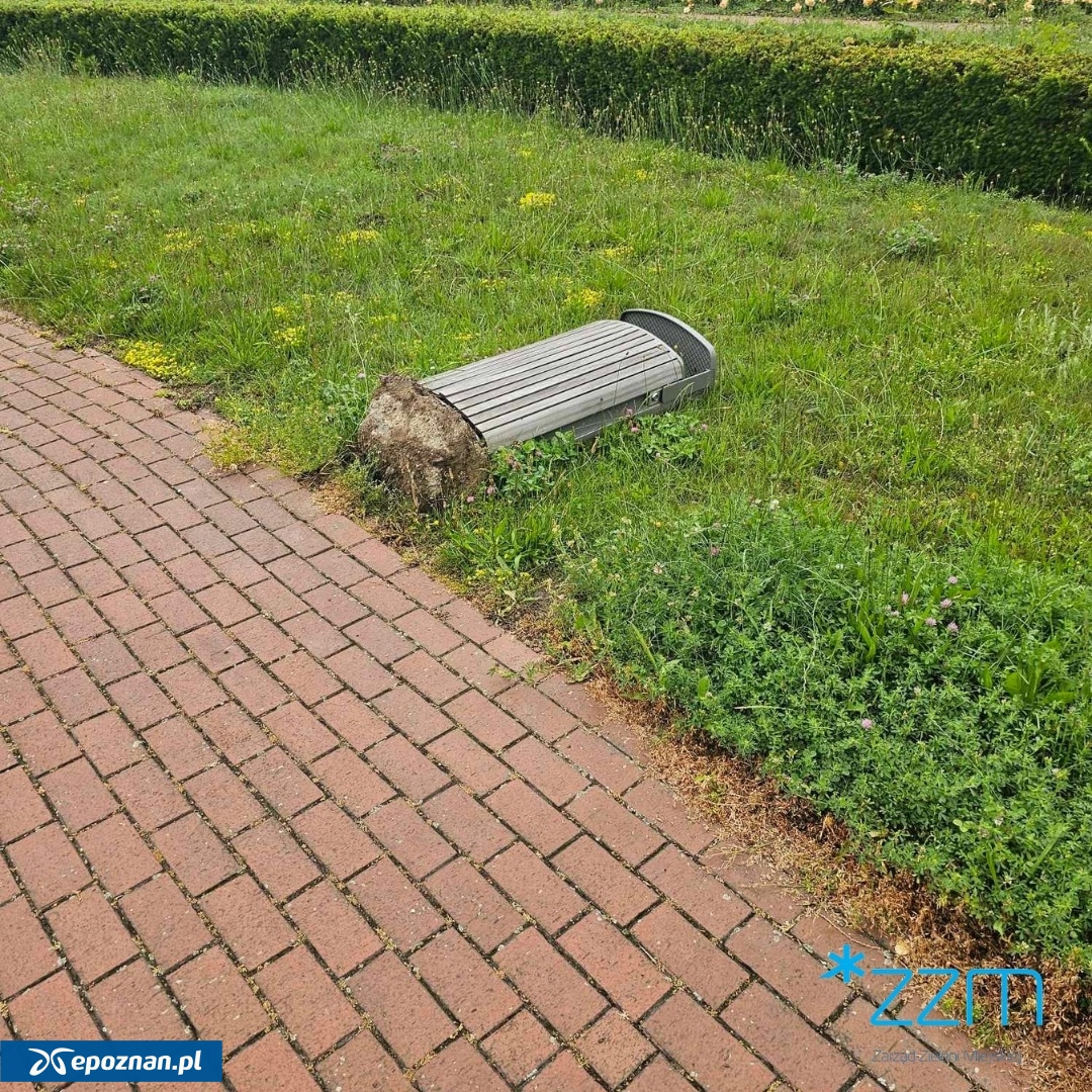 fot. ZZM Poznań