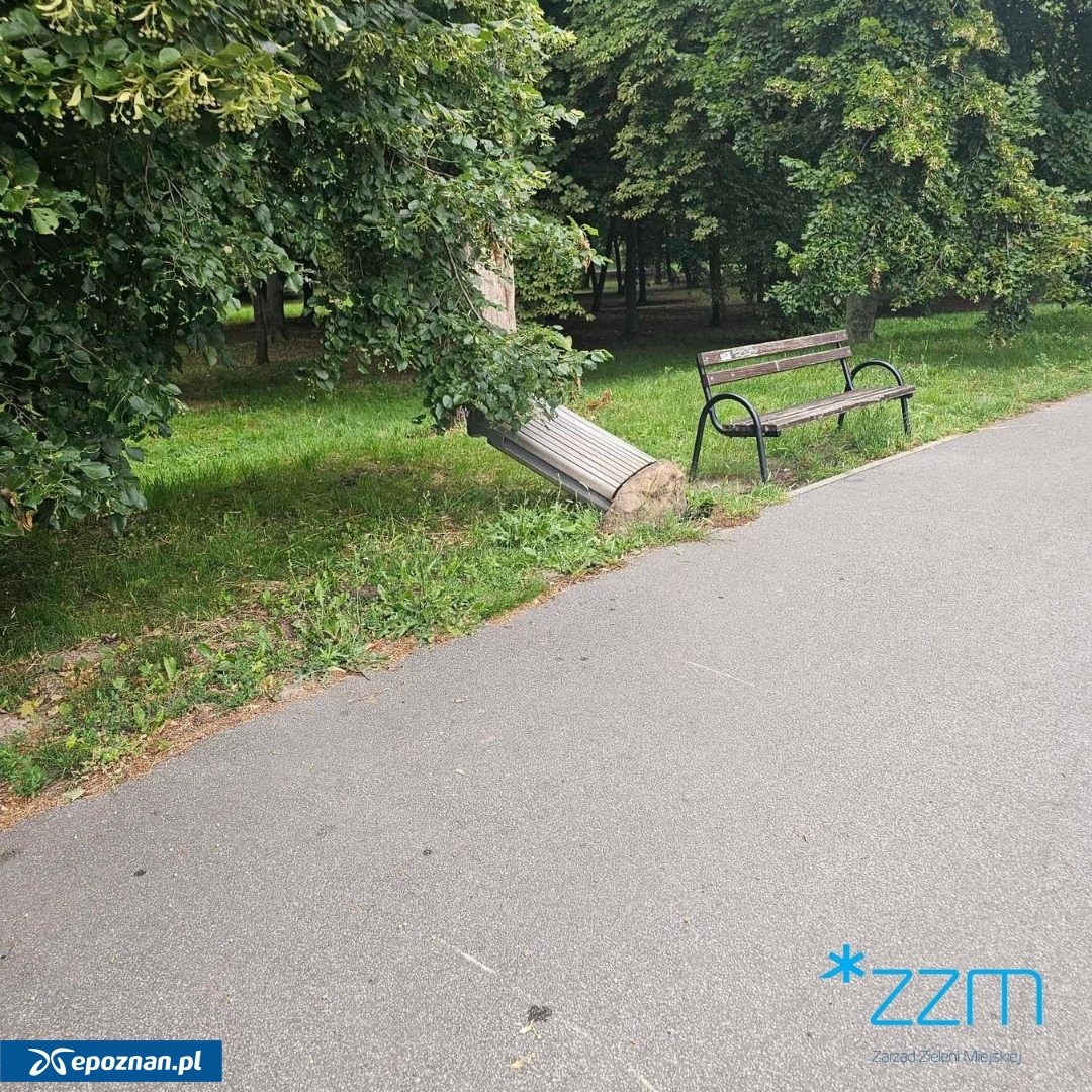 fot. ZZM Poznań