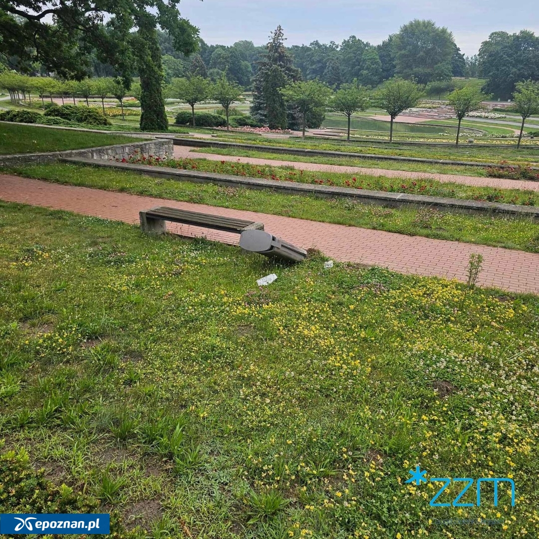 fot. ZZM Poznań