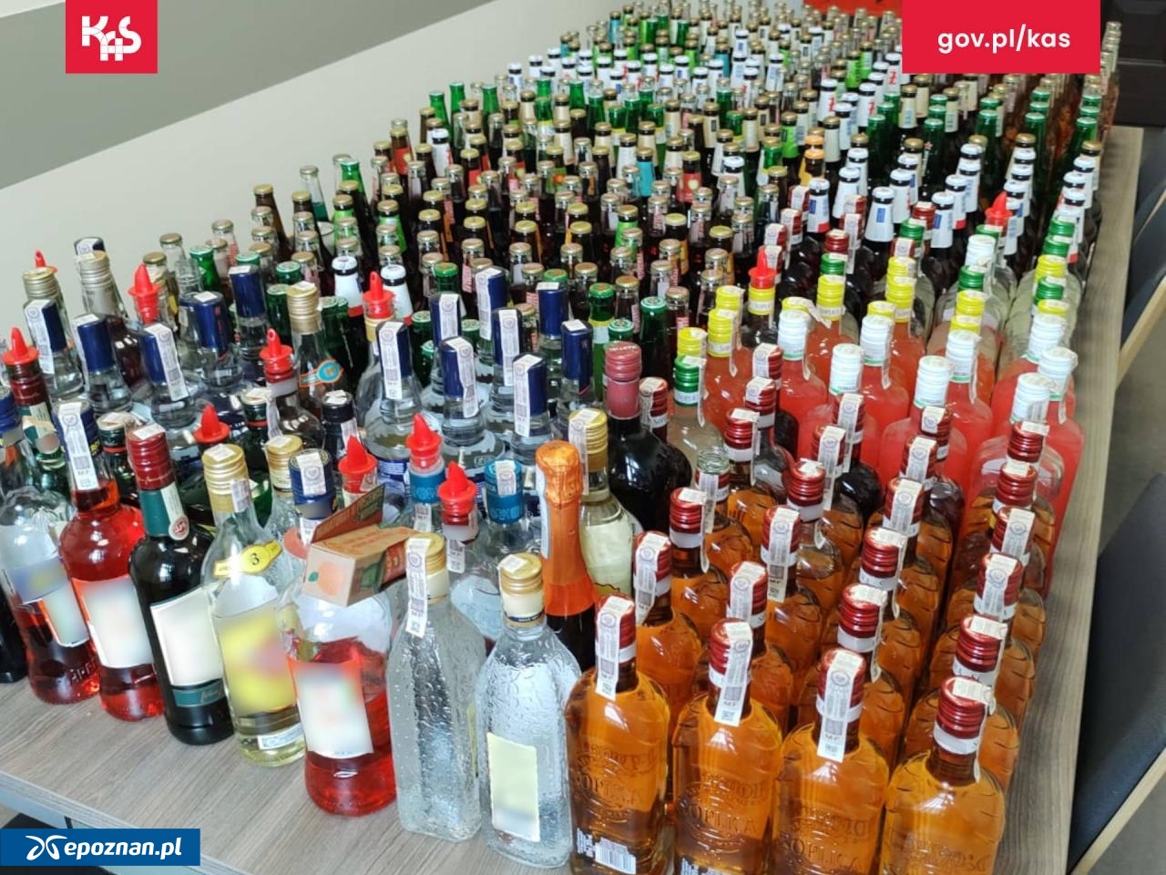 fot. IAS Poznań