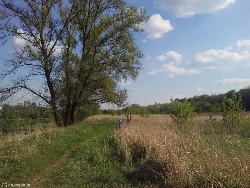 fot. czytelniczka