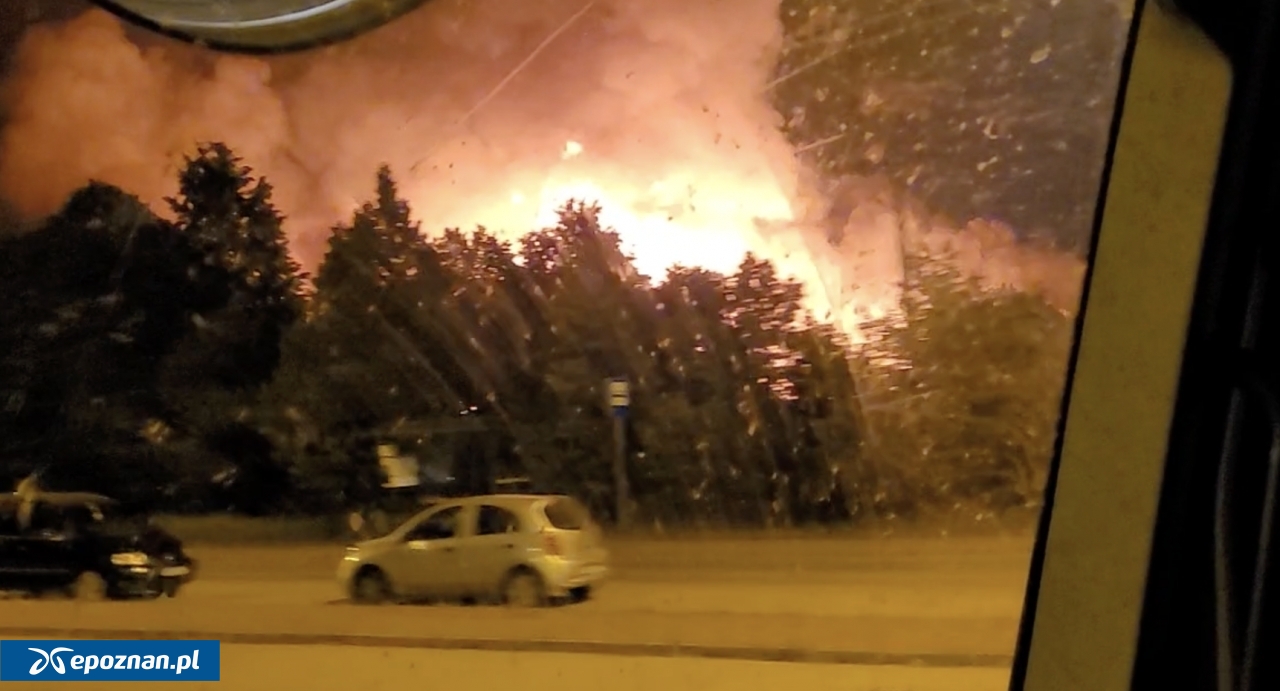 fot. Czytelnik