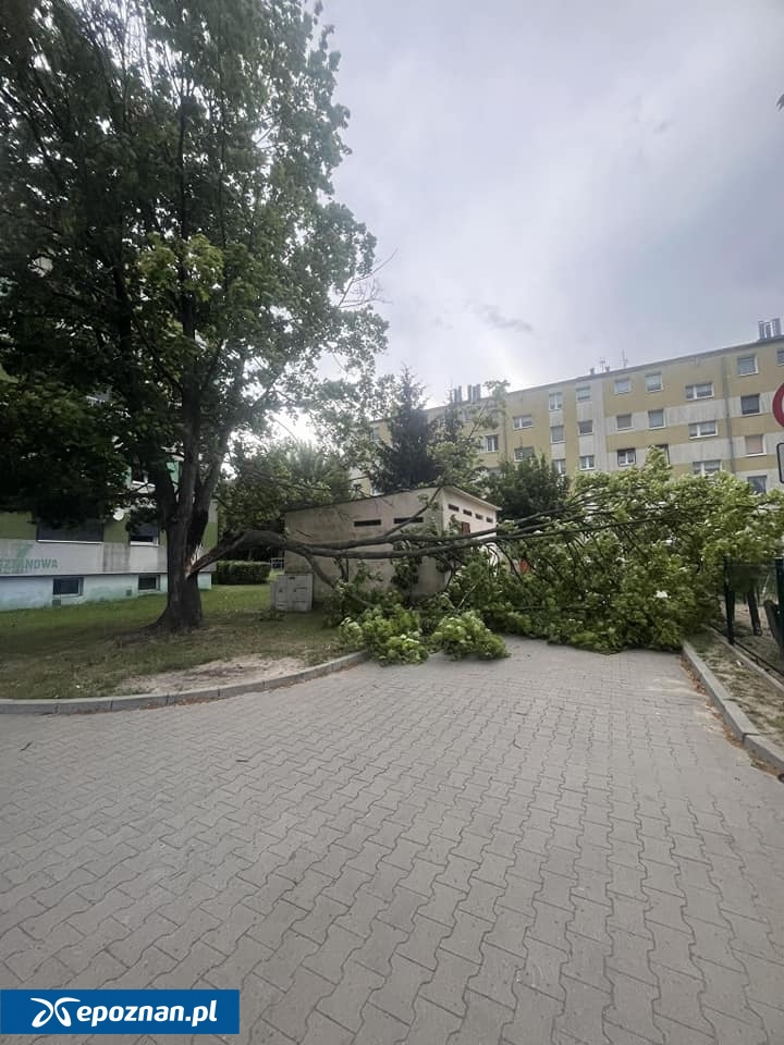 fot. Ochotnicza Straż Pożarna w Jarocinie / FB