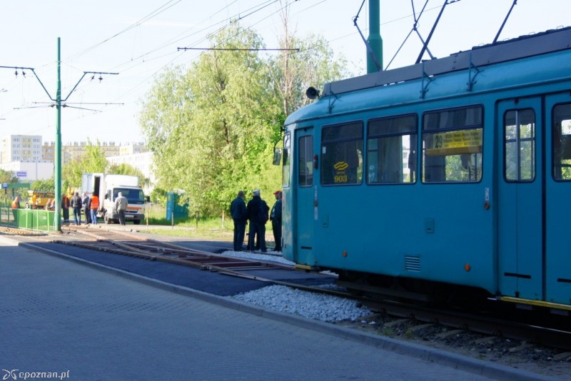 fot. Włodzimierz  Hoppel