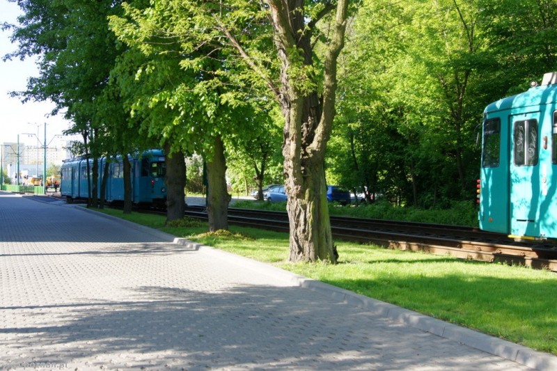 fot. Włodzimierz  Hoppel