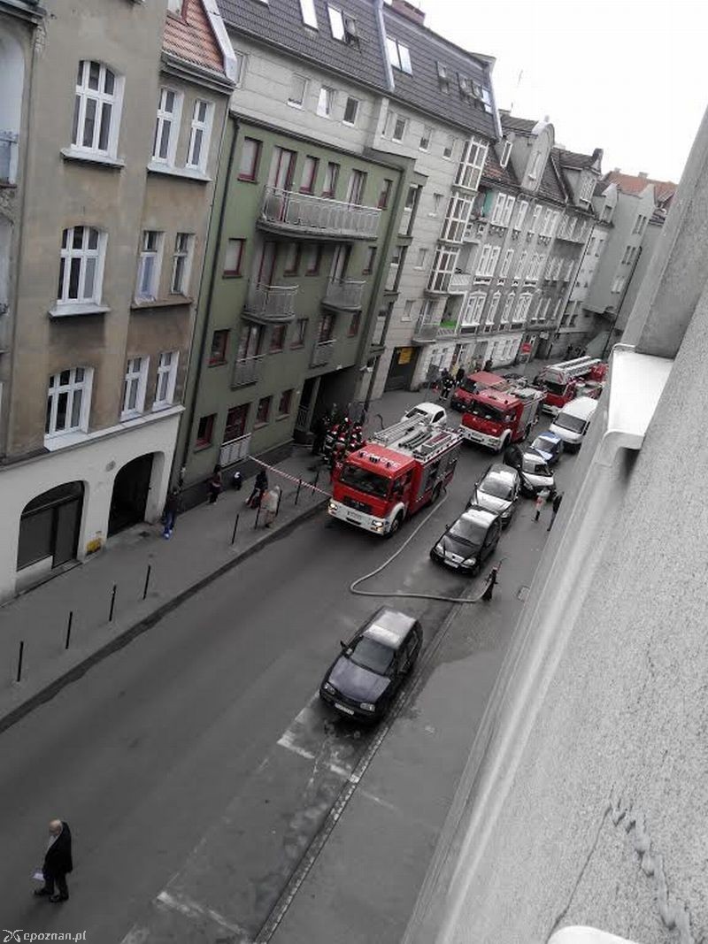 fot. Agnieszka