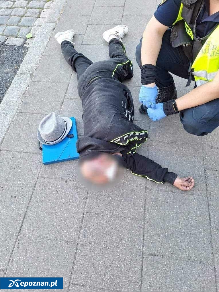 fot. Straż Miejska Miasta Poznania.