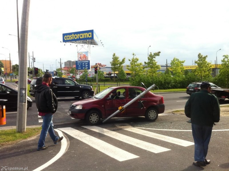 fot. Andrzej P. 