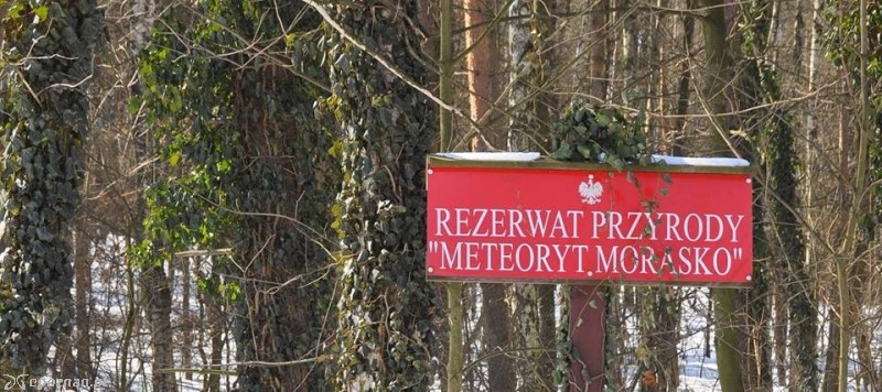 fot. PoPoznaniu.pl
