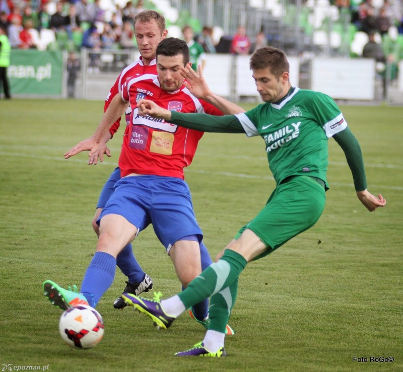 Warta Poznań - Raków Częstochowa 1:1 | fot. Roger Gorączniak