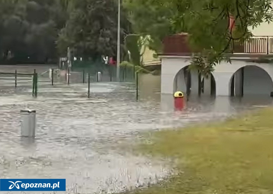 fot. Kadr filmu Łukasza Uciechowskiego/Facebook.