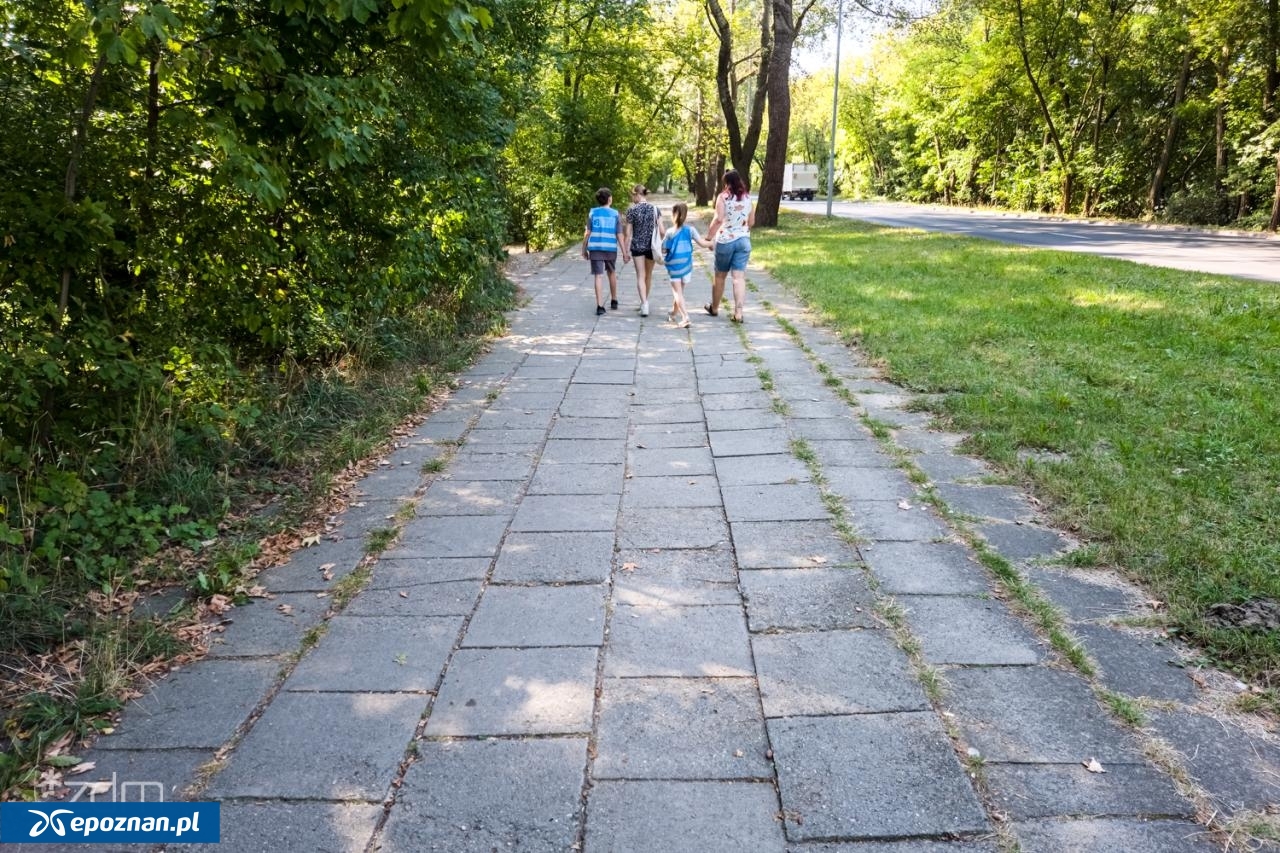 fot. ZDM Poznań