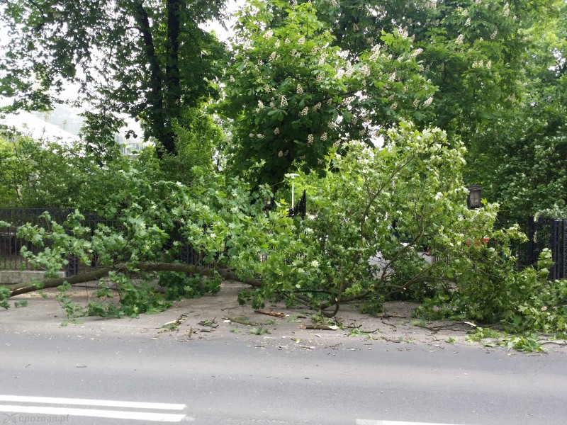 fot. Piotr Błaszak