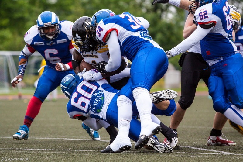 Kozły Poznań - Seahawks Gdynia 26:54 | fot. Tomasz Szwajkowski